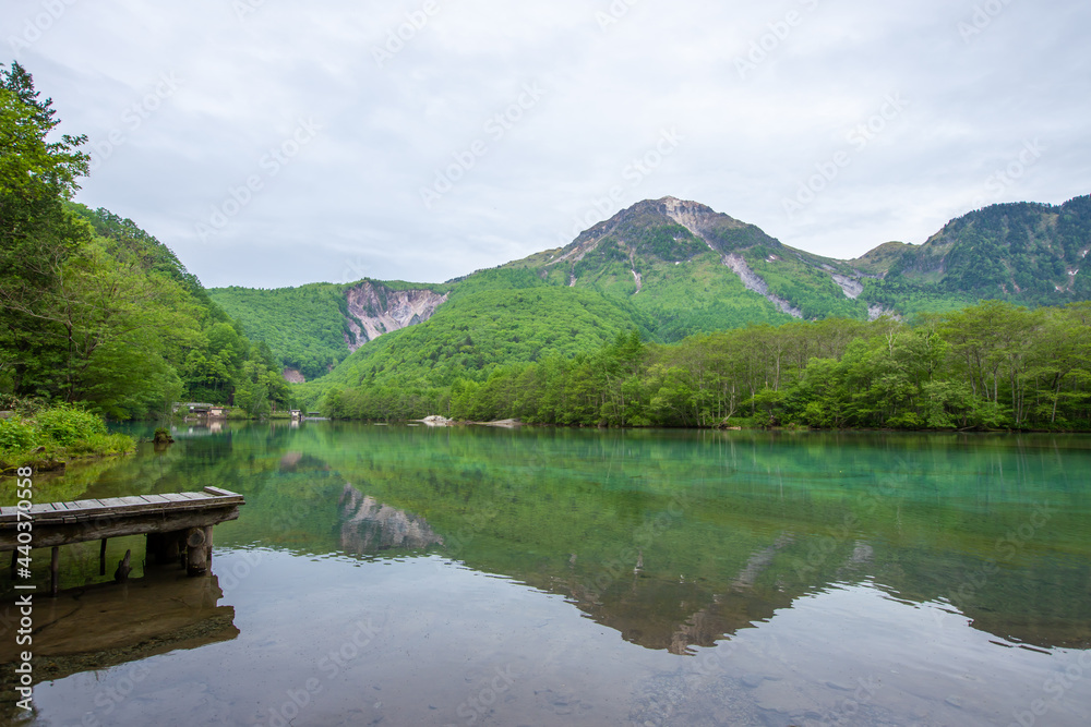 長野県　新緑の大正池