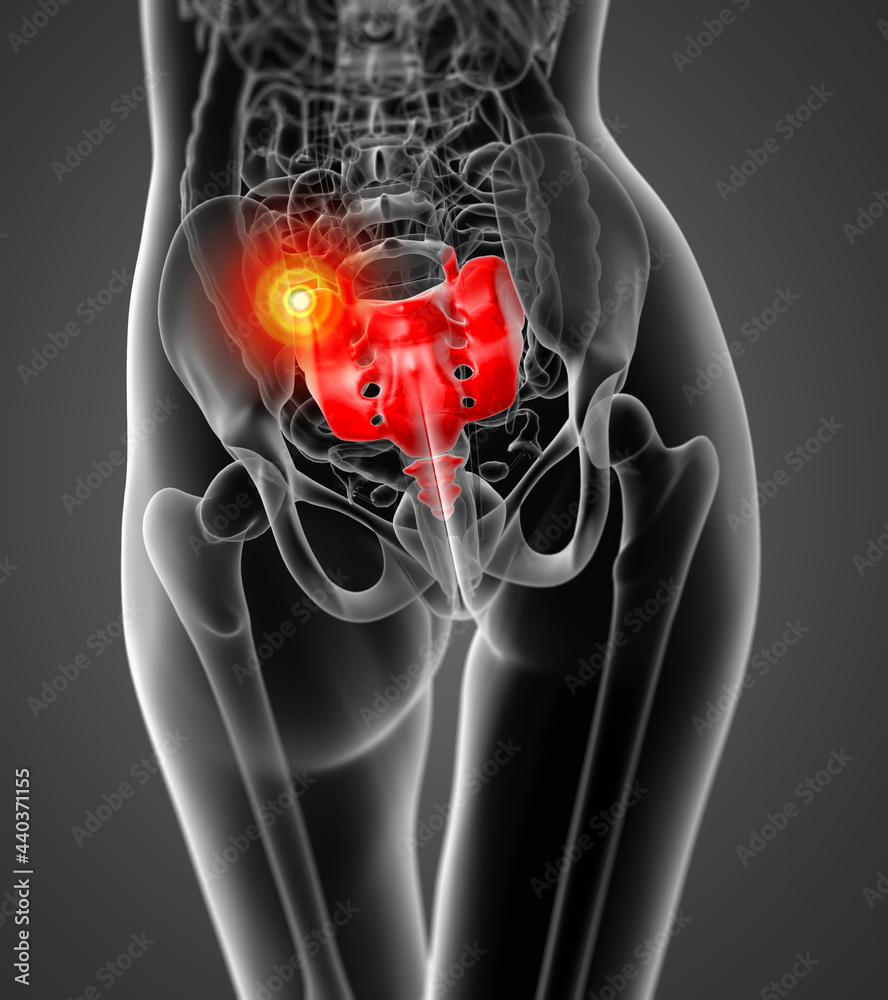 3D rendering illustration of sacrum bone