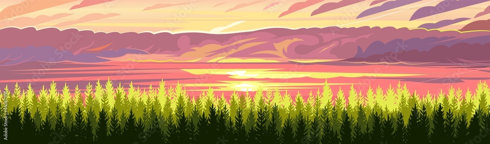 Pine forest. Silhouettes of coniferous trees. Wild landscape horizontally. Red sunset. Nice panoramic view. Beautifully illustration vector