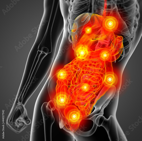 3D rendering human digestive system