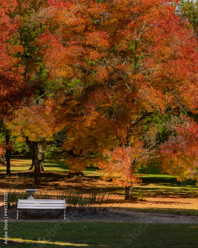 Autumn in Australia