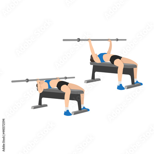 Woman doing Barbell bench press. Chest press exercise. Flat vector illustration isolated on white background