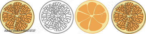 Fresh oranges for fabric, drawing labels, print on t-shirt, wallpaper of children's room. Slices of orange cartoon style isolated on white background