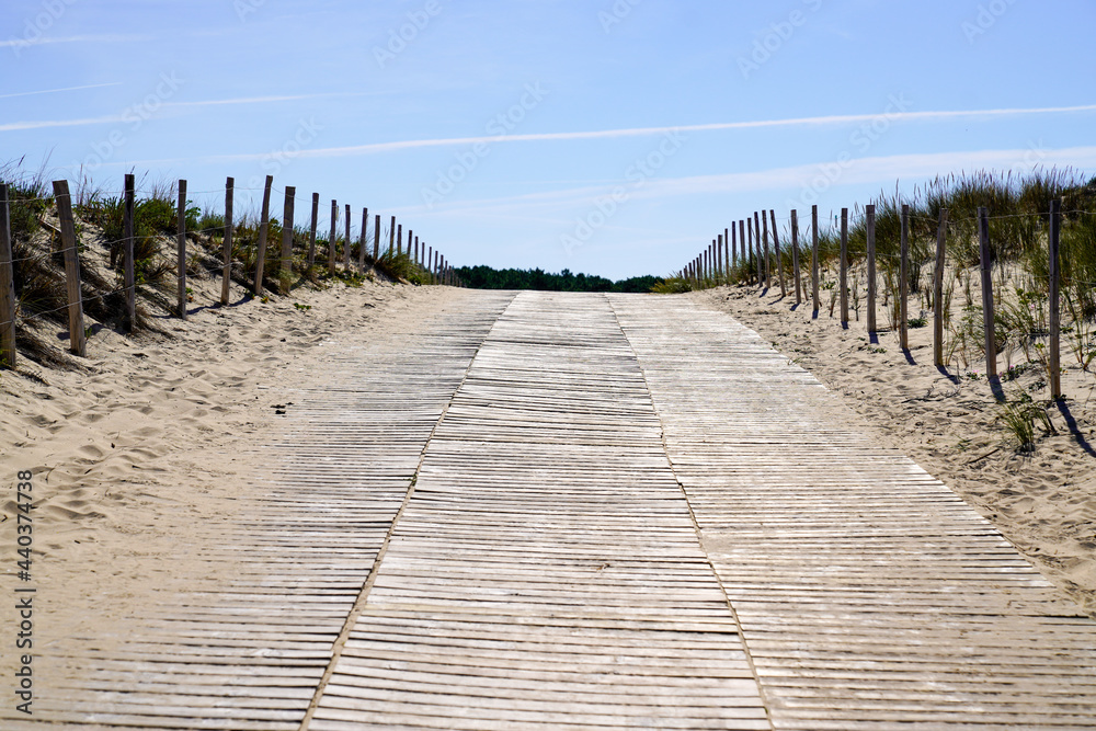 Wooden path way access to the beach sea in spring in lacanau Atlantic in france