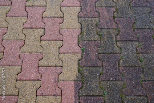 garden paved path floor slabs interlock half clean and dirty after an anti-foam cleaning