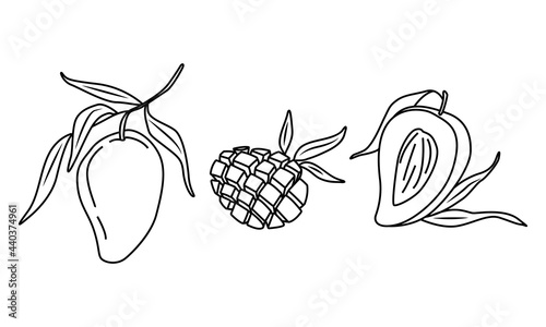 A set of mango fruits, whole fruit and cut halves. Doodle style. For the design of social networks, web, advertising, banners, menus, recipes. Vector illustration hand drawn by contour