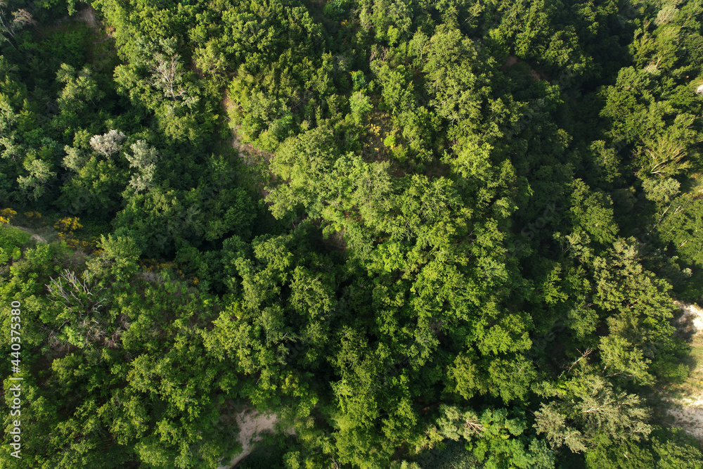 Beautiful view of the forest of Toscana Italy from above photographed with a drone. Drone photography, Tuscany, Siena region Beautiful view of the forest of Toscana Italy from above photographed with a drone. Drone photography, Tuscany, Siena region