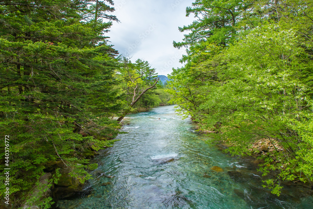 Fototapeta premium 長野県 新緑の上高地 梓川