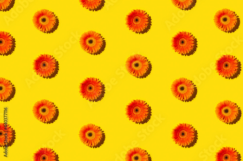 Pattern aesthetic flower with yellow background.Minimal flat lay