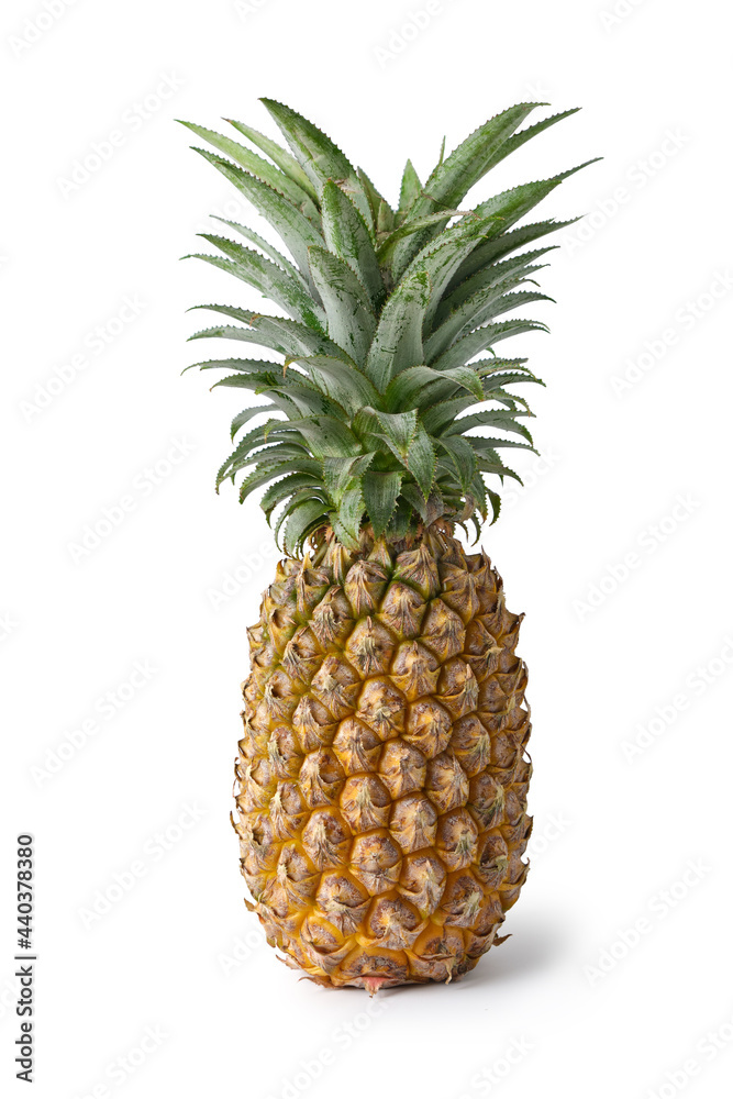Pineapple isolated on white background, clipping path. Pineapple isolated on white background, clipping path.