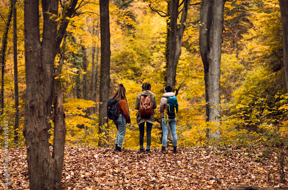 Fototapeta premium Three female friends enjoying hiking in forest on a beautiful autumn day.