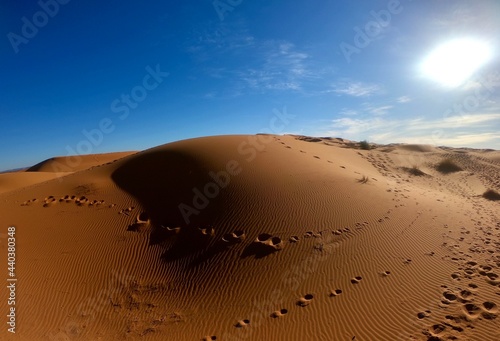 Sahara desert  Morocco
