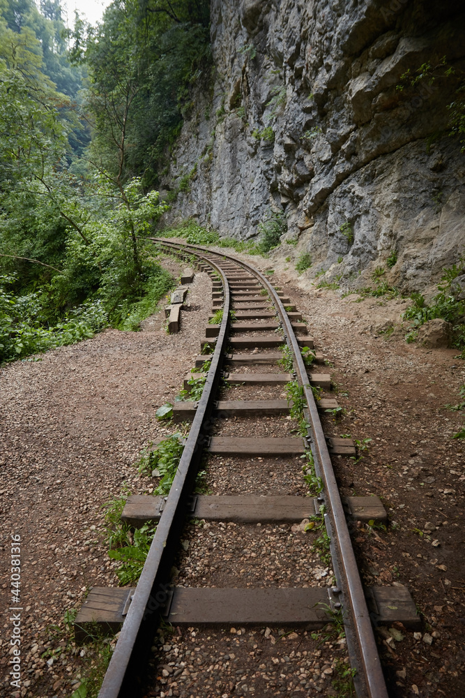 railway in the forest, summer in the rainforest railway in the forest, summer in the rainforest