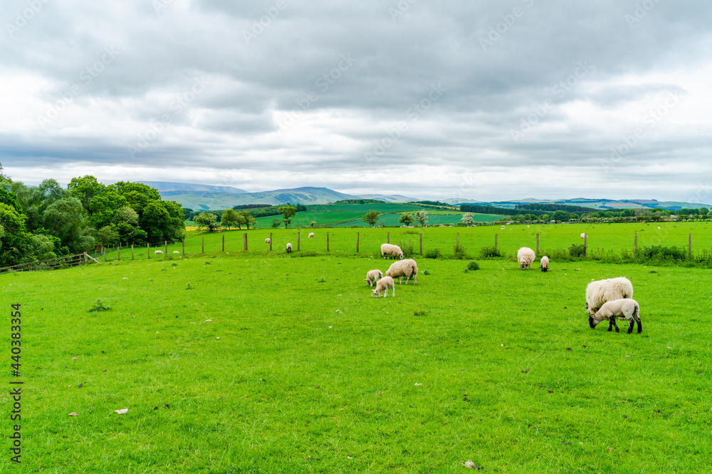 Rural Northumberland, UK