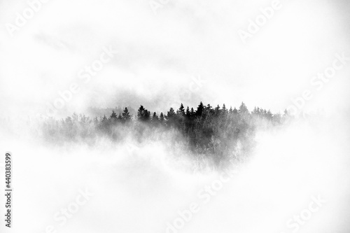 A piece of the Totenåsen Hills, Norway, seen through an opening in the morning mist.