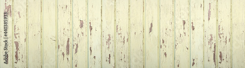 Pastell hellgrüne, verwitterte Holzwand aus vertikalen Brettern in Panorama Nahaufnahme