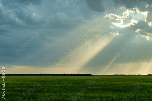 Green field of grass with heavy rain clouds and sunshine view.