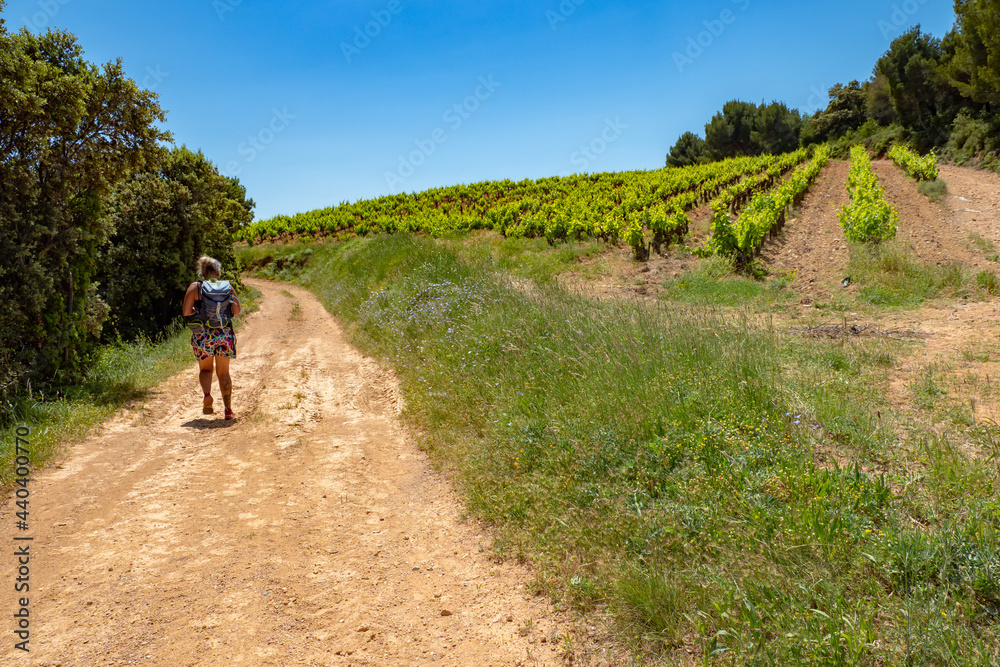 Woman exploring the vineyards of France 