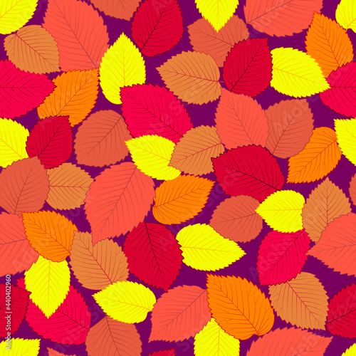 Bright seamless pattern. Multicolored leaves of an elm tree on a purple background.
