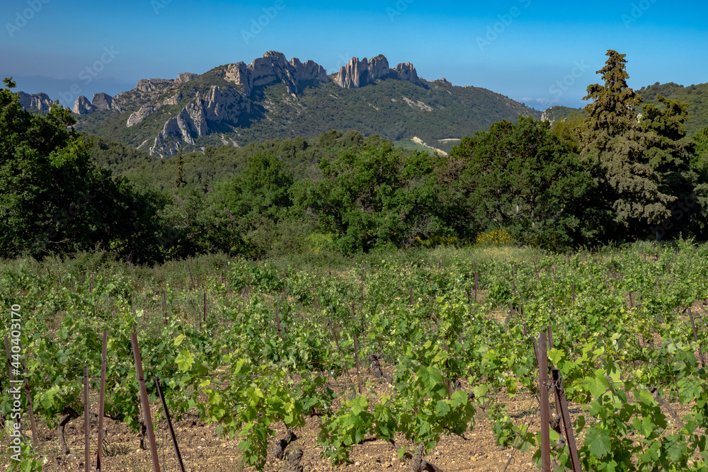 Les dentelles de Montmirail in the Vaucluse and the surrounding vineyards in one of France's most popular 