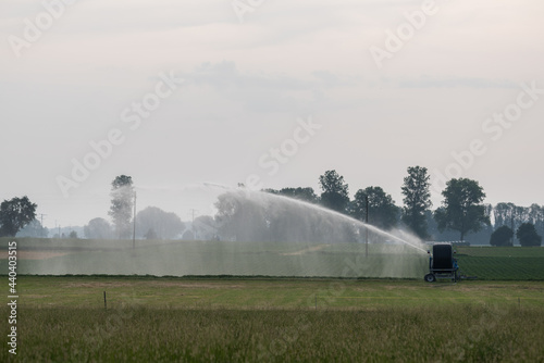 Water sprinklers irrigating a field in summertime
