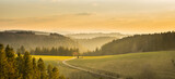 Germany, Beautiful path in forest panorama view of schwarzwald trees and nature landscape mountains in warm sunset sunlight