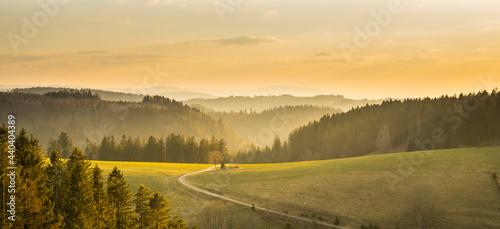 Germany, Beautiful path in forest panorama view of schwarzwald trees and nature landscape mountains in warm sunset sunlight © Simon
