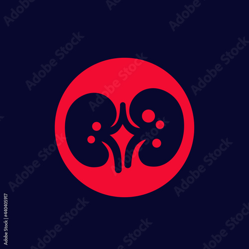 kidney stones and renal pain icon, vector