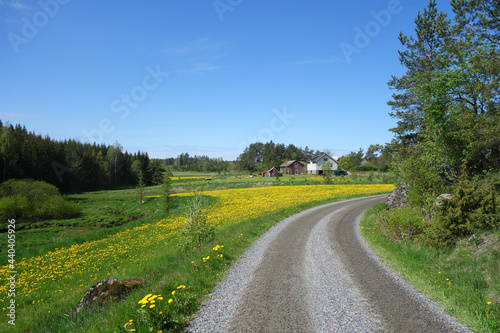 Gravel road in the countryside