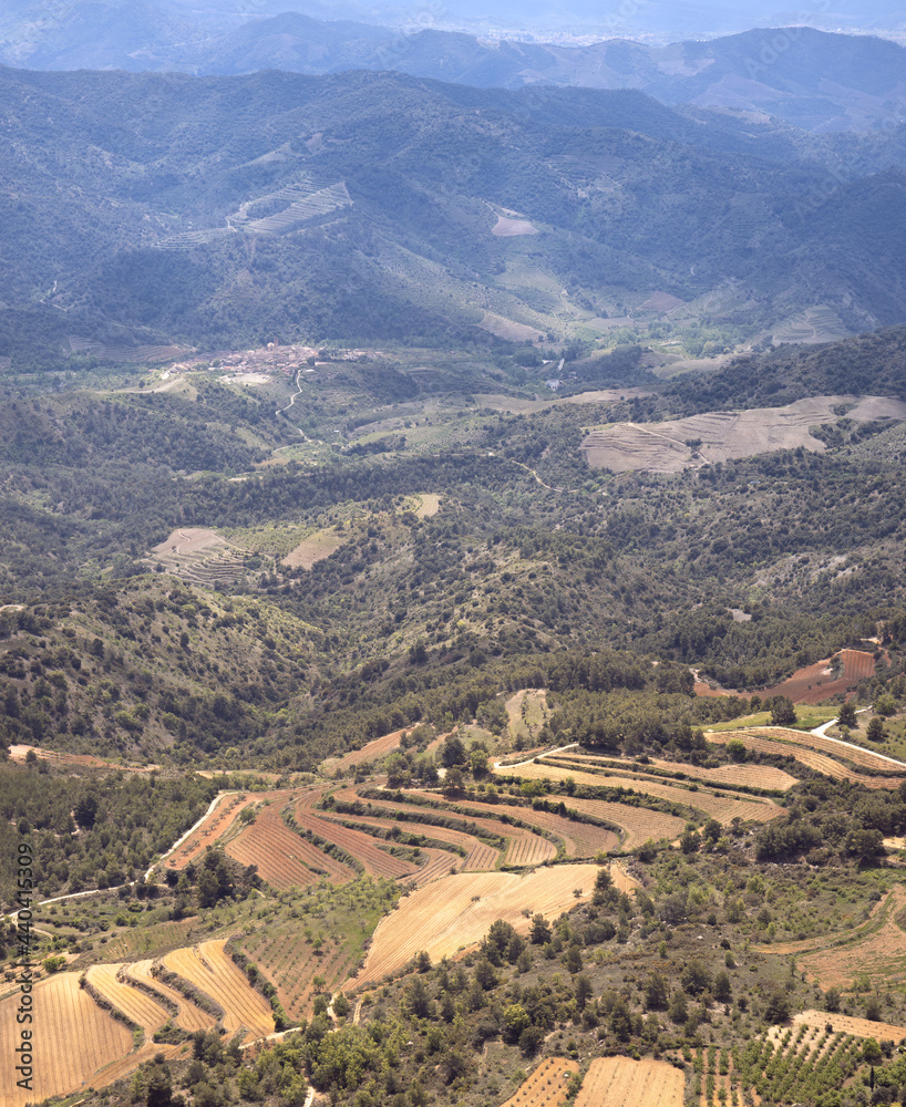 Aerial View of Growing fields in Priorat, Catalonia
