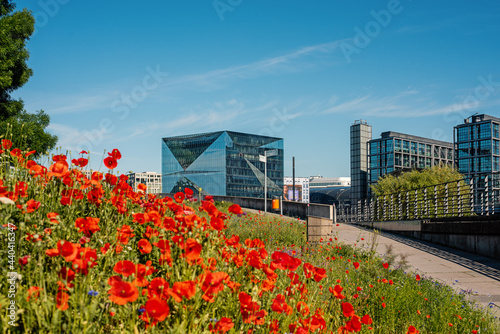 View of Berlin central station and modern office buildings. red poppies in foreground. 