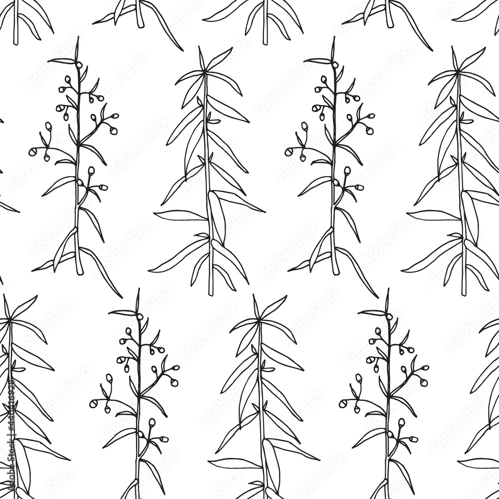 Fototapeta premium Seamless pattern. Vector illustration with tarragon branch.