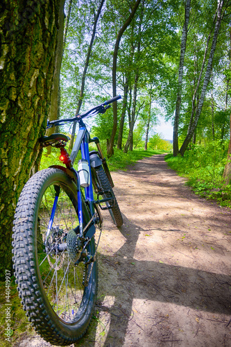 Enduro bicycle on the trail in the summer season