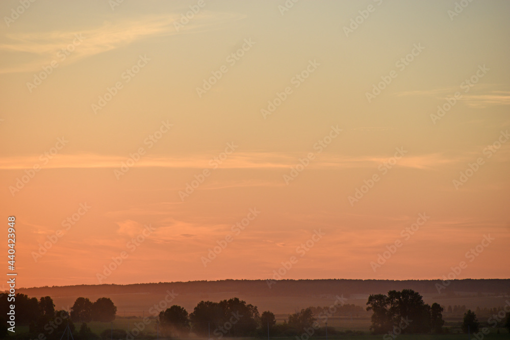 Rural field on the background of the setting sun