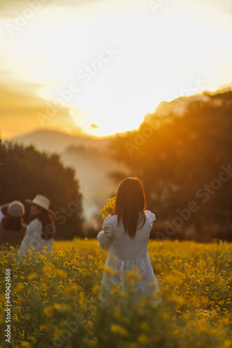 Silhouette and orange lights during Twilight. Young tourists revel in the fragrant yellow chrysanthemum field and admire the beauty of the chrysanthemum with the orange atmosphere during Twilight.