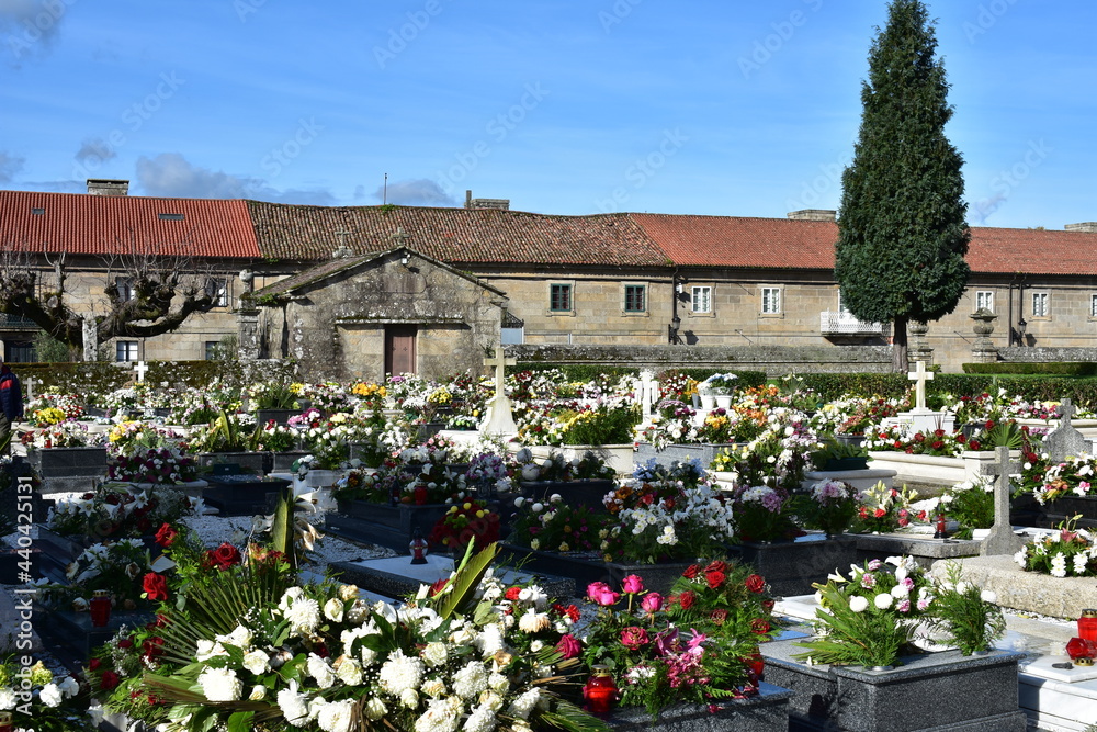 Fototapeta premium CEMENTERIO