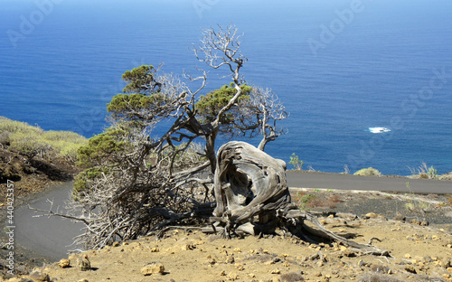 El Hierro  the most remote and least visited island in the Canary archipelago.