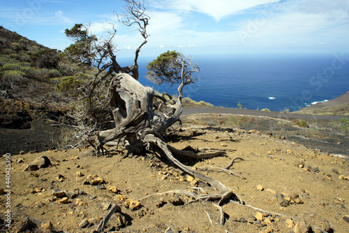 El Hierro  the most remote and least visited island in the Canary archipelago.