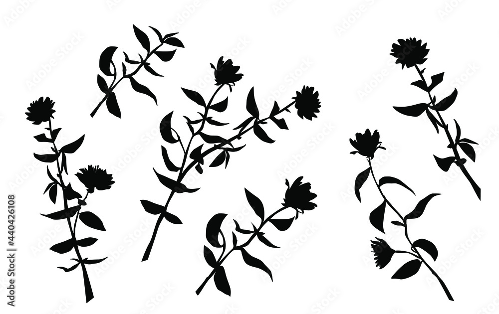 Fototapeta premium Vector silhouettes of the branch of trees, with leaves, flowers, black color, isolated on white background