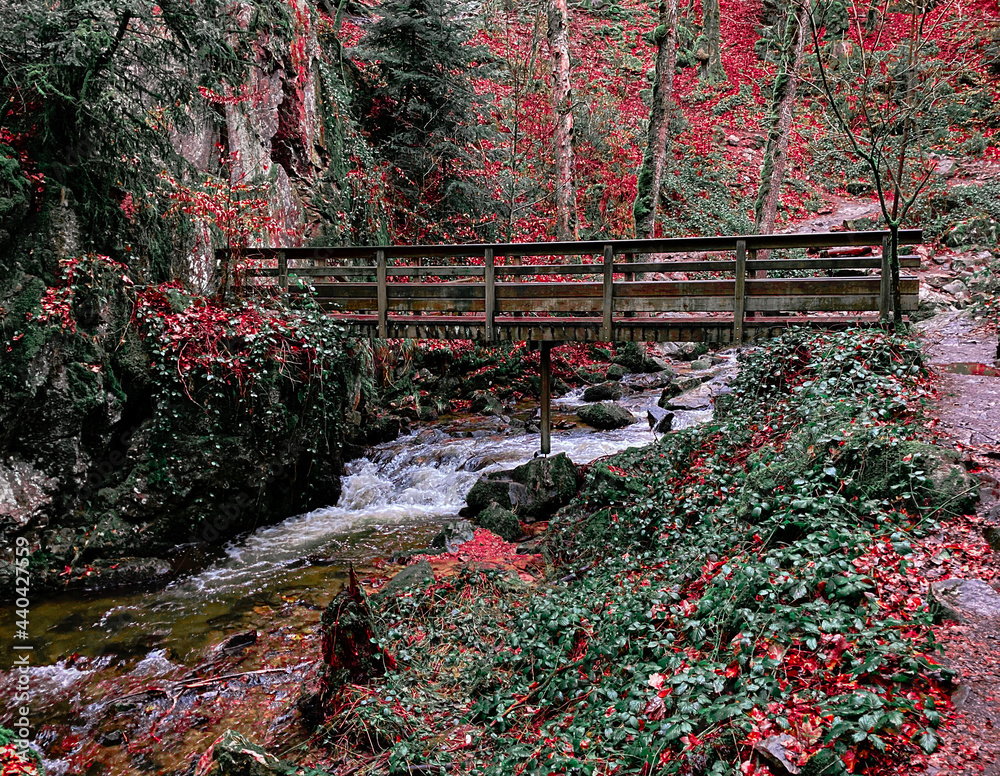 Les Vosges-Pont de bois
