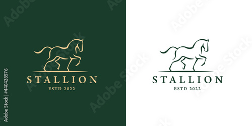 Elegant horse icon. Royal stallion logo. Equine stables sign. Equestrian brand emblem. Vector illustration.