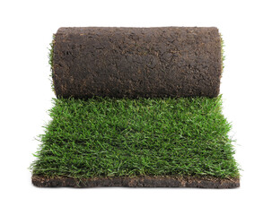 Rolled sod with grass on white background