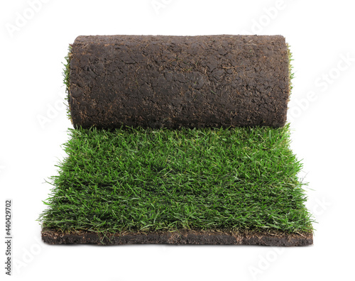 Photos Rolled sod with grass on white background