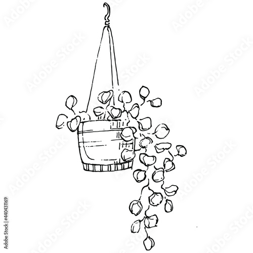 Home Plant in pots sketch. Outline drawing isolated  illustration of growing flowers in a hanging plant for interior home or office decoration. Vector of garden flowers