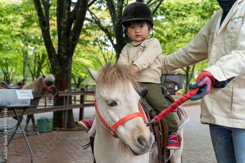 乗馬体験をする男の子 photo