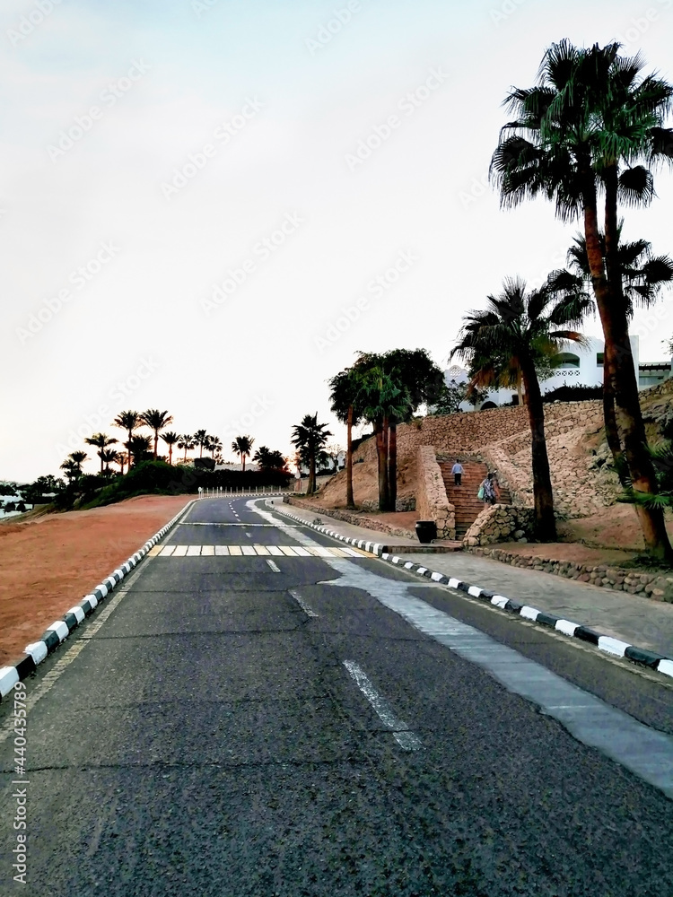 Evening view of the asphalt road with markings and palm trees on the side of the road. Pedestrian crossing on the road in the street. City landscape.