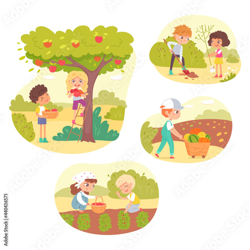 Fototapeta Naklejka Na Ścianę i Meble -  Kids working in farm or garden set. Little happy boys and girls collecting apples from tree, planting tree, taking harvest vector illustration. Group doing chores in agriculture