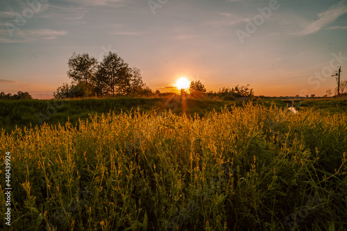 Leni zachód słońca, Piaseczno, Mazowieckie photo