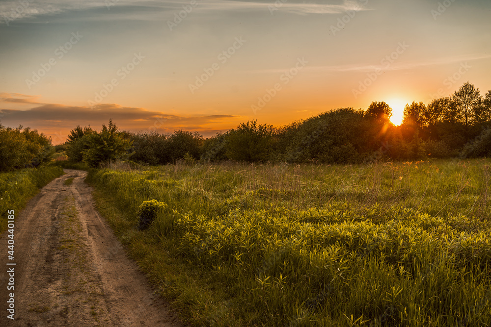Droga, łąka, słońce, zachód, Piaseczno