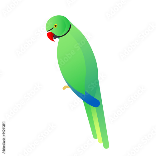 The green parrot isolated on green background. Vector illustration of tropical birds